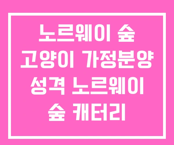 노르웨이 숲 고양이 가정분양 성격 노르웨이 숲 캐터리