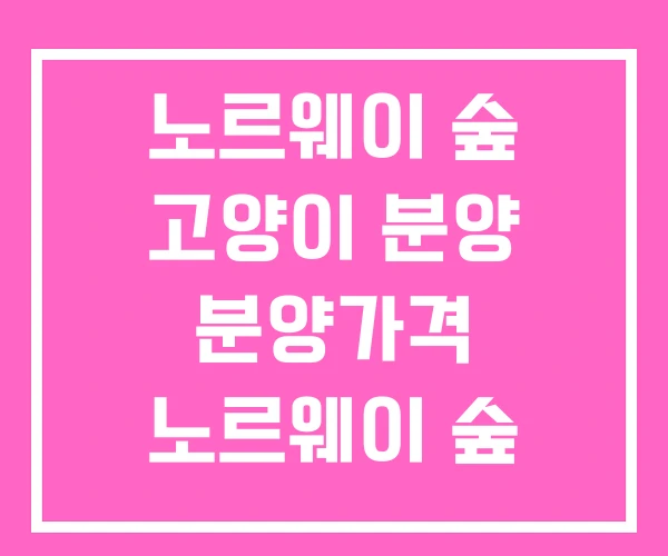노르웨이 숲 고양이 분양 분양가격 노르웨이 숲 분양가