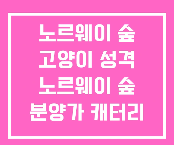 노르웨이 숲 고양이 성격 노르웨이 숲 분양가 캐터리