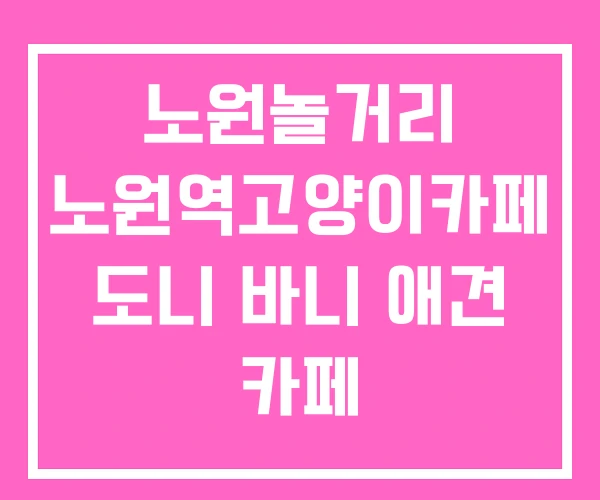 노원놀거리 노원역고양이카페 도니 바니 애견 카페 노원놀거리 노원역고양이카페 도니 바니 애견 카페