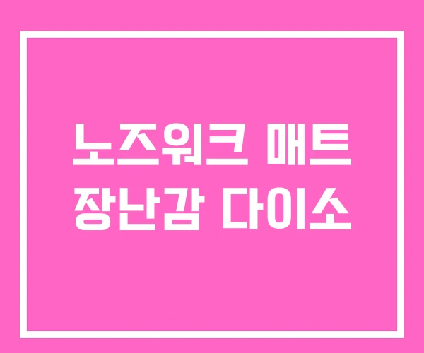 노즈워크 매트 장난감 다이소 노즈워크 매트 장난감 다이소