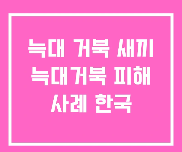늑대 거북 새끼 늑대거북 피해 사례 한국 늑대 거북 새끼 늑대거북 피해 사례 한국
