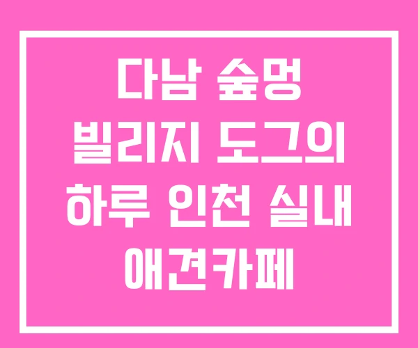 다남 숲멍 빌리지 도그의 하루 인천 실내 애견카페 다남 숲멍 빌리지 도그의 하루 인천 실내 애견카페