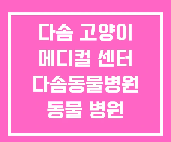 다솜 고양이 메디컬 센터 다솜동물병원 동물 병원 24시 다솜 고양이 메디컬 센터 다솜동물병원 동물 병원 24시