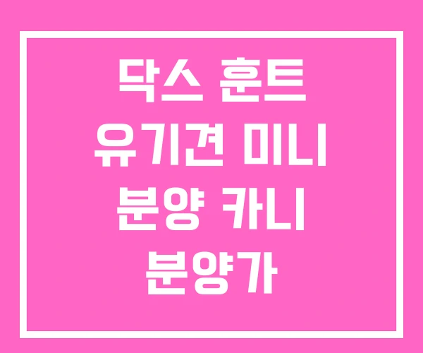 닥스 훈트 유기견 미니 분양 카니 분양가