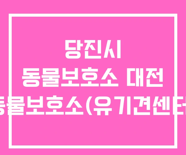 당진시 동물보호소 대전 동물보호소(유기견센터)