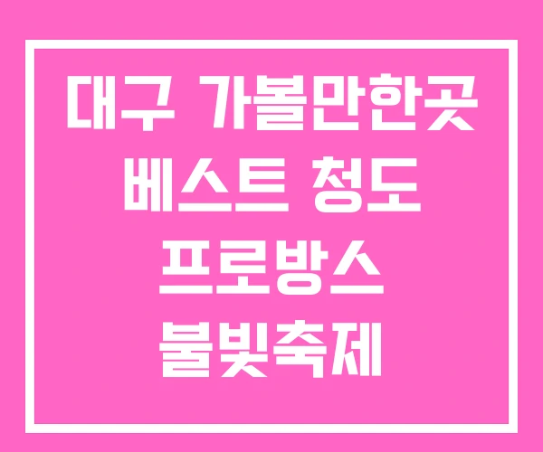 대구 가볼만한곳 베스트 청도 프로방스 불빛축제 대구 가볼만한곳 베스트 청도 프로방스 불빛축제