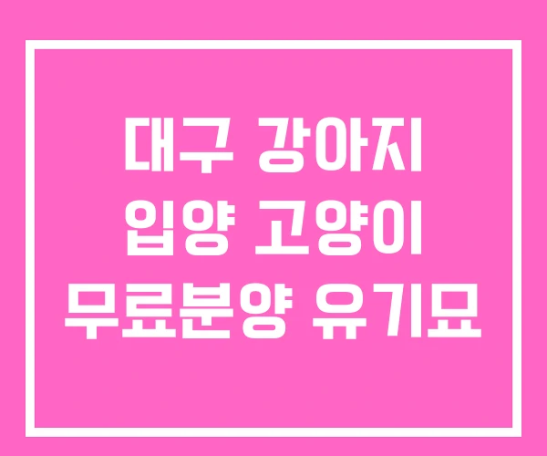 대구 강아지 입양 고양이 무료분양 유기묘 대구 강아지 입양 고양이 무료분양 유기묘
