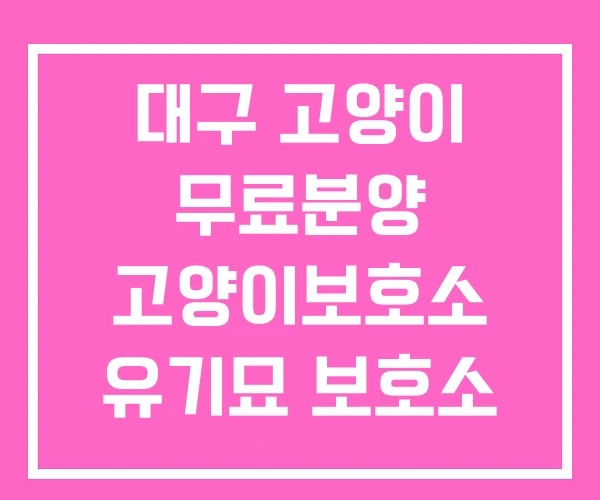 대구 고양이 무료분양 고양이보호소 유기묘 보호소 대구 고양이 무료분양 고양이보호소 유기묘 보호소