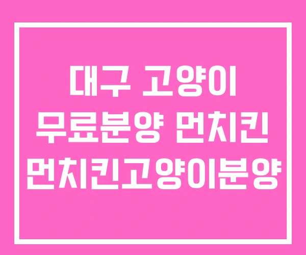 대구 고양이 무료분양 먼치킨 먼치킨고양이분양