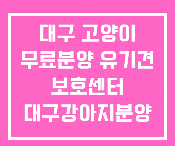 대구 고양이 무료분양 유기견 보호센터 대구강아지분양 대구 고양이 무료분양 유기견 보호센터 대구강아지분양