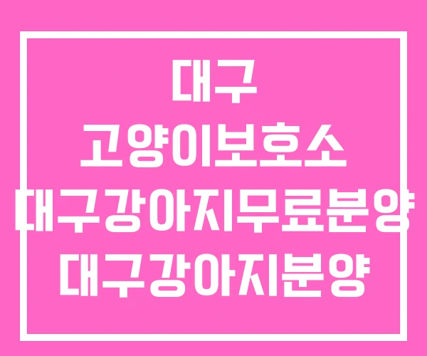 대구 고양이보호소 대구강아지무료분양 대구강아지분양