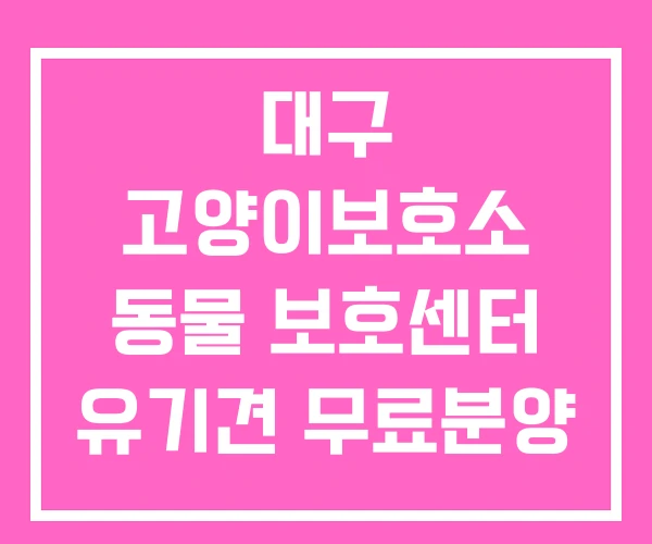 대구 고양이보호소 동물 보호센터 유기견 무료분양
