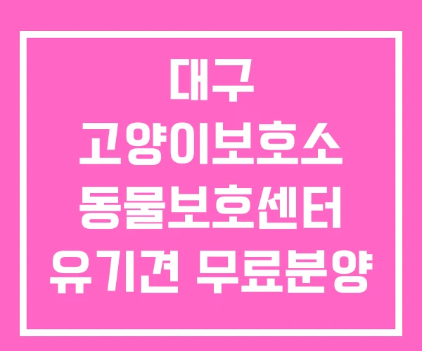 대구 고양이보호소 동물보호센터 유기견 무료분양 대구 고양이보호소 동물보호센터 유기견 무료분양