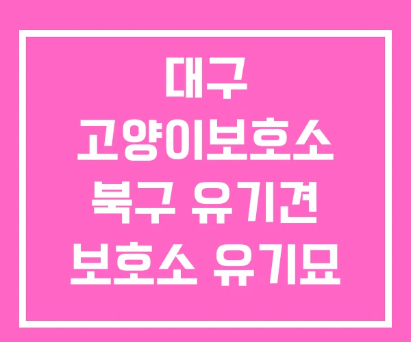 대구 고양이보호소 북구 유기견 보호소 유기묘