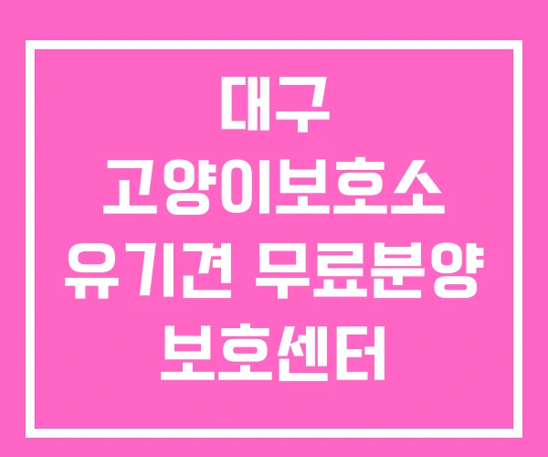 대구 고양이보호소 유기견 무료분양 보호센터 대구 고양이보호소 유기견 무료분양 보호센터