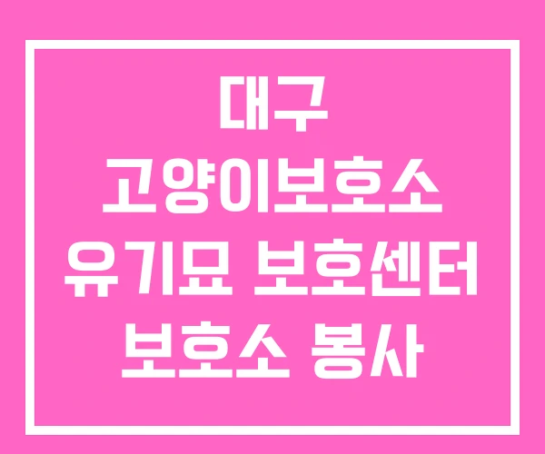 대구 고양이보호소 유기묘 보호센터 보호소 봉사