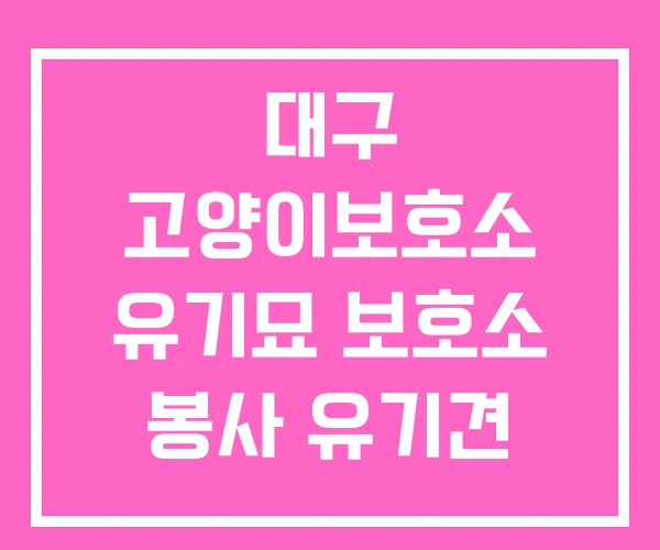 대구 고양이보호소 유기묘 보호소 봉사 유기견 무료분양
