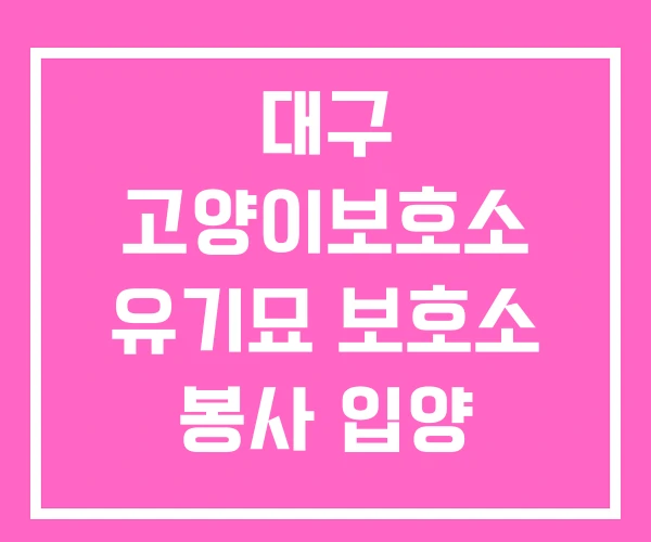 대구 고양이보호소 유기묘 보호소 봉사 입양 대구 고양이보호소 유기묘 보호소 봉사 입양