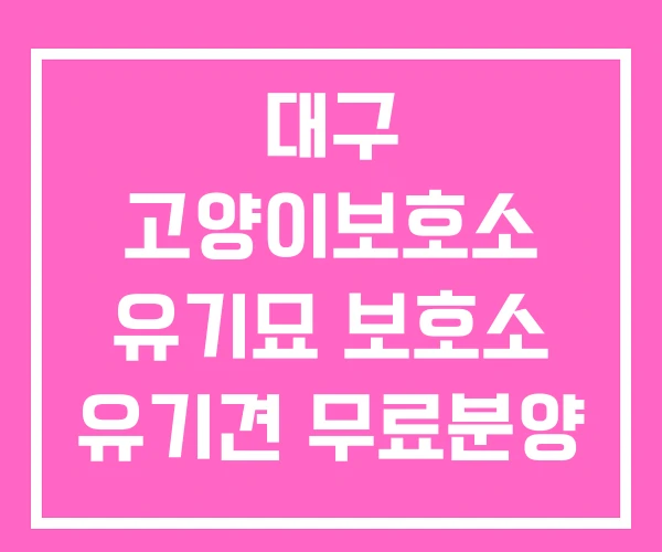 대구 고양이보호소 유기묘 보호소 유기견 무료분양