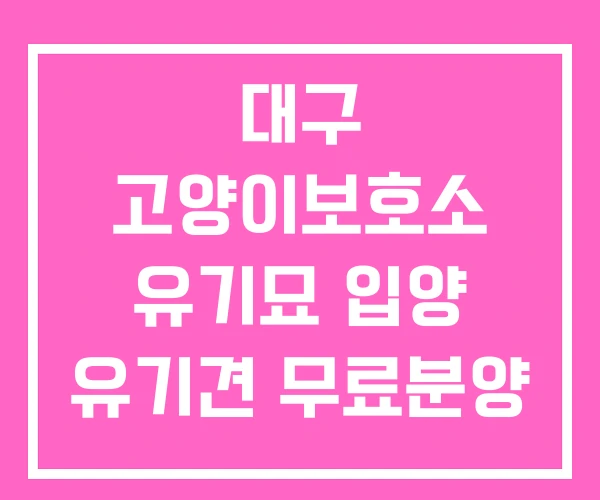 대구 고양이보호소 유기묘 입양 유기견 무료분양 대구 고양이보호소 유기묘 입양 유기견 무료분양