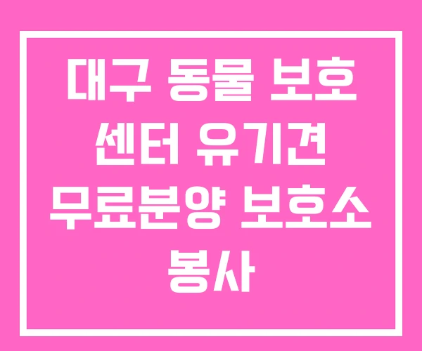 대구 동물 보호 센터 유기견 무료분양 보호소 봉사