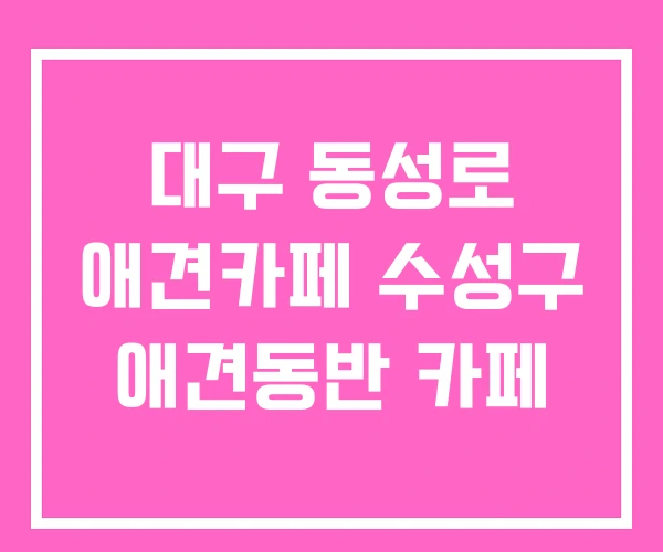 대구 동성로 애견카페 수성구 애견동반 카페