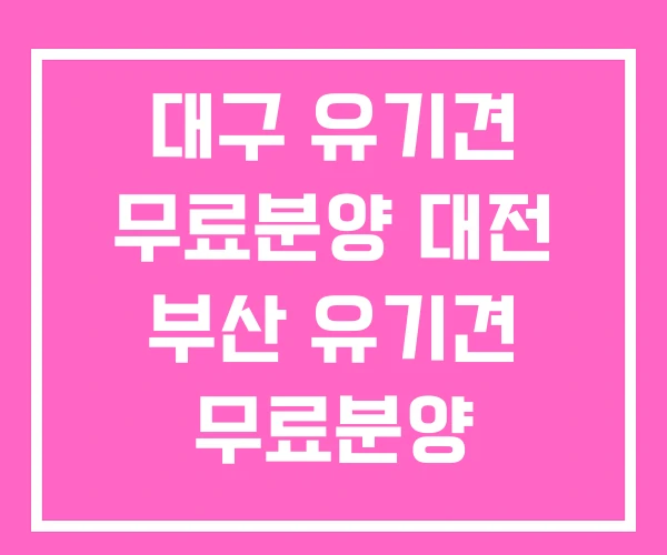 대구 유기견 무료분양 대전 부산 유기견 무료분양