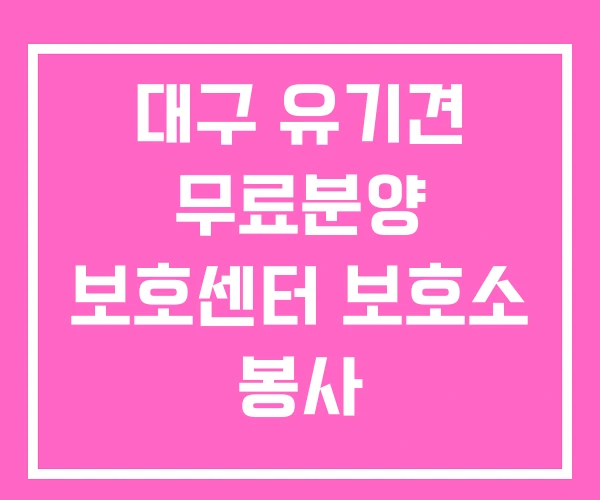 대구 유기견 무료분양 보호센터 보호소 봉사 대구 유기견 무료분양 보호센터 보호소 봉사