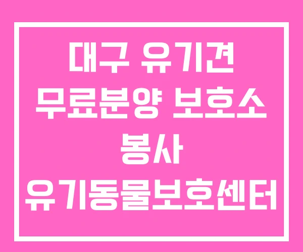 대구 유기견 무료분양 보호소 봉사 유기동물보호센터 대구 유기견 무료분양 보호소 봉사 유기동물보호센터