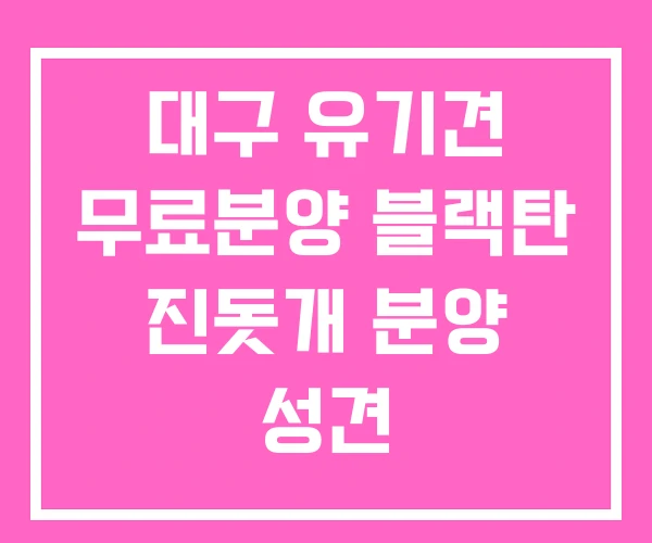 대구 유기견 무료분양 블랙탄 진돗개 분양 성견 대구 유기견 무료분양 블랙탄 진돗개 분양 성견