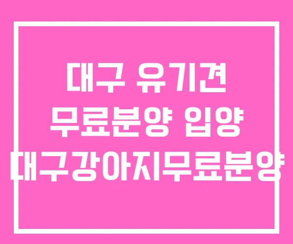 대구 유기견 무료분양 입양 대구강아지무료분양 대구 유기견 무료분양 입양 대구강아지무료분양