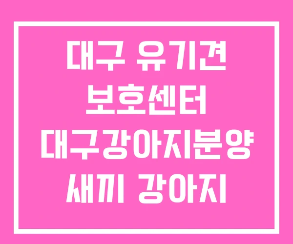 대구 유기견 보호센터 대구강아지분양 새끼 강아지 무료분양 대구 유기견 보호센터 대구강아지분양 새끼 강아지 무료분양