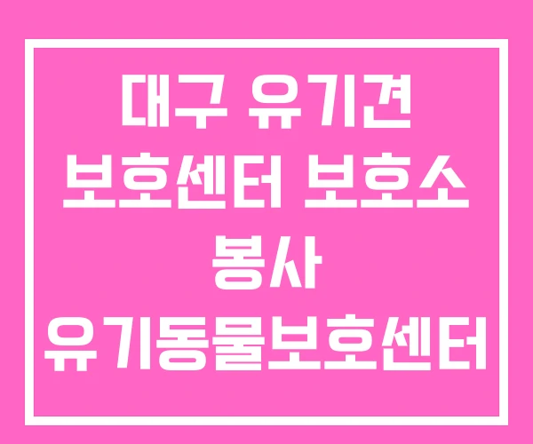 대구 유기견 보호센터 보호소 봉사 유기동물보호센터 대구 유기견 보호센터 보호소 봉사 유기동물보호센터