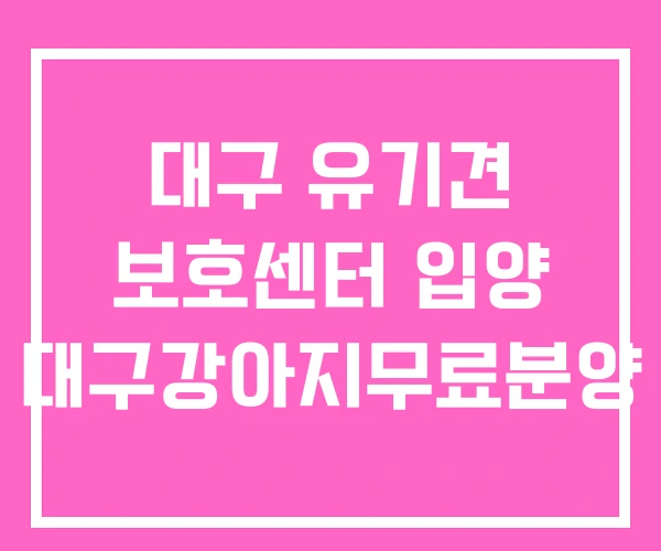 대구 유기견 보호센터 입양 대구강아지무료분양 대구 유기견 보호센터 입양 대구강아지무료분양