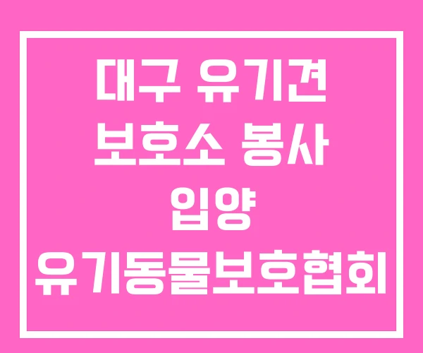대구 유기견 보호소 봉사 입양 유기동물보호협회 대구 유기견 보호소 봉사 입양 유기동물보호협회