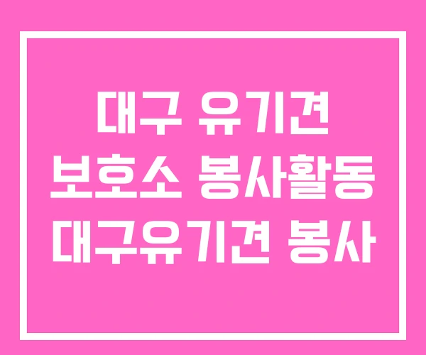 대구 유기견 보호소 봉사활동 대구유기견 봉사