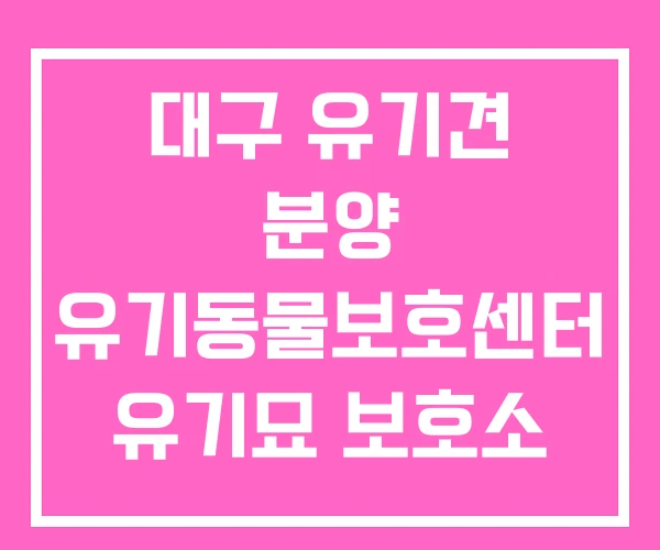 대구 유기견 분양 유기동물보호센터 유기묘 보호소