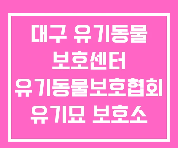 대구 유기동물 보호센터 유기동물보호협회 유기묘 보호소