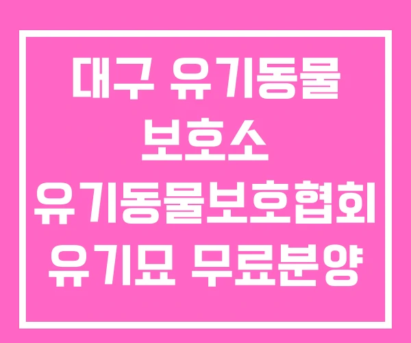 대구 유기동물 보호소 유기동물보호협회 유기묘 무료분양