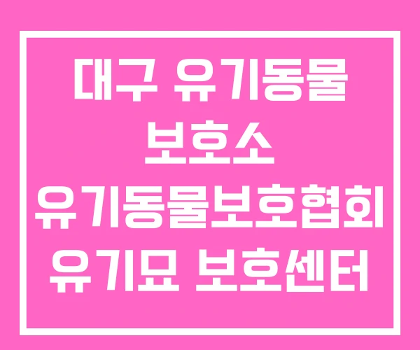 대구 유기동물 보호소 유기동물보호협회 유기묘 보호센터 대구 유기동물 보호소 유기동물보호협회 유기묘 보호센터