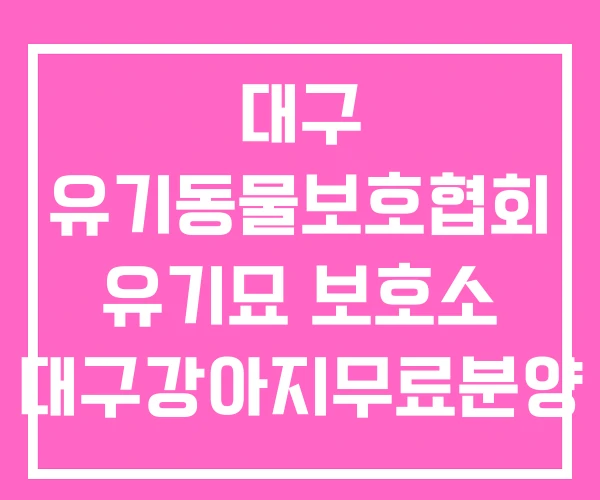 대구 유기동물보호협회 유기묘 보호소 대구강아지무료분양 대구 유기동물보호협회 유기묘 보호소 대구강아지무료분양