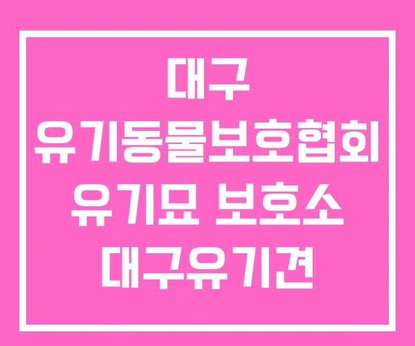 대구 유기동물보호협회 유기묘 보호소 대구유기견 대구 유기동물보호협회 유기묘 보호소 대구유기견