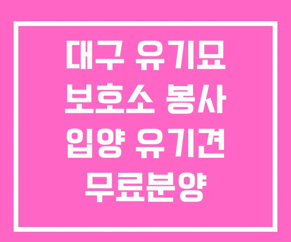 대구 유기묘 보호소 봉사 입양 유기견 무료분양