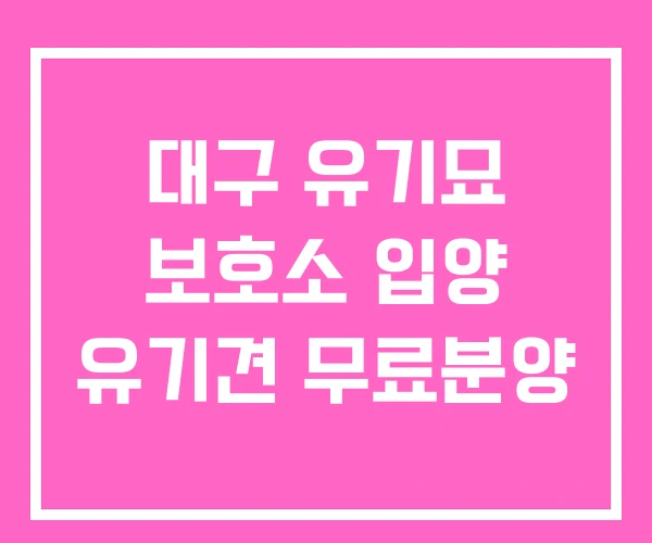 대구 유기묘 보호소 입양 유기견 무료분양 대구 유기묘 보호소 입양 유기견 무료분양