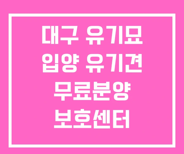 대구 유기묘 입양 유기견 무료분양 보호센터 대구 유기묘 입양 유기견 무료분양 보호센터