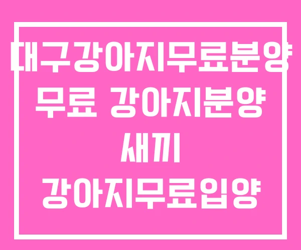 대구강아지무료분양 무료 강아지분양 새끼 강아지무료입양 대구강아지무료분양 무료 강아지분양 새끼 강아지무료입양