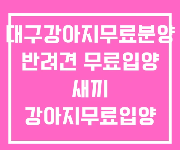 대구강아지무료분양 반려견 무료입양 새끼 강아지무료입양 대구강아지무료분양 반려견 무료입양 새끼 강아지무료입양