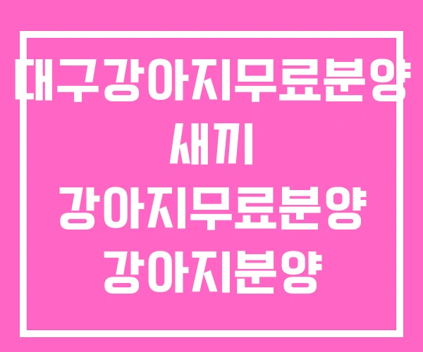 대구강아지무료분양 새끼 강아지무료분양 강아지분양