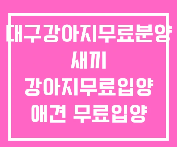 대구강아지무료분양 새끼 강아지무료입양 애견 무료입양 대구강아지무료분양 새끼 강아지무료입양 애견 무료입양